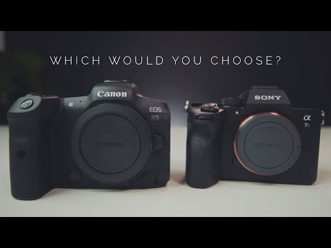 Sony A7Siii vs Canon R5!