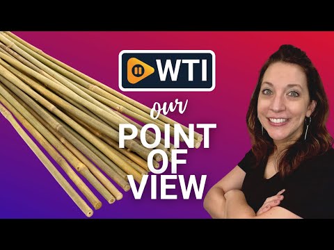 Pllieay 20 Pieces 18 inch Bamboo Stakes - WTI product video review