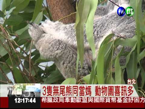 母親節快樂 動物媽媽也開心!