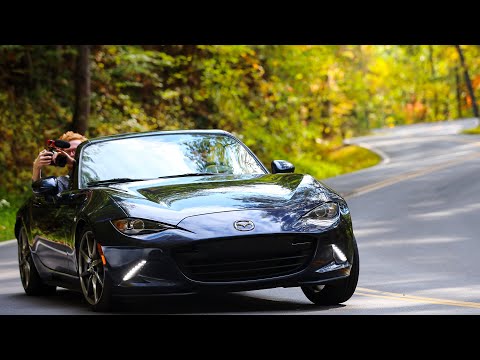 THIS DIDN'T END WELL (almost)