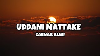 Download lagu LAGU BUGIS VIRAL TIKTOK || UDDANI MATTAKE Voc. Zaenab Alwi mp3