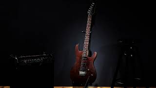 Sinergy - Gallowmere (guitar solo)