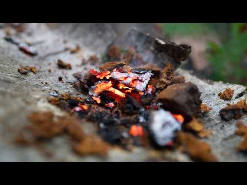 12 Feuerstahl-Zunder, die du unbedingt kennen solltest