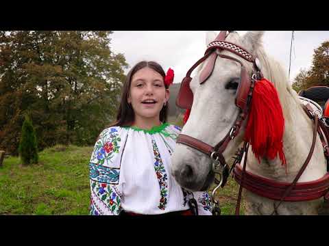 Gabriela Prejvara-   Leagănul copilăriei