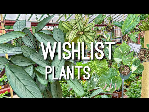 Got a Wishlist Plant! Local Plant Shopping Evergreen Garden Center