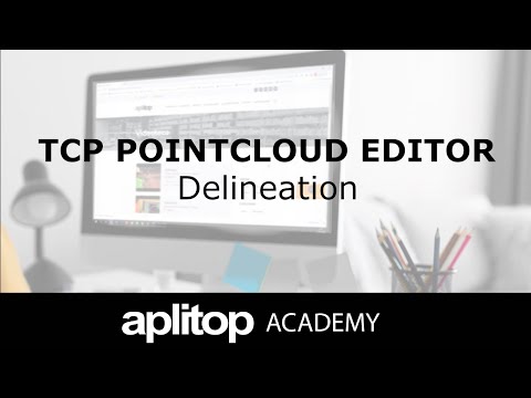 Tcp PointCloud Editor | Delineation