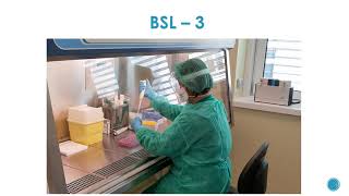 6 1  Biosafety Levels