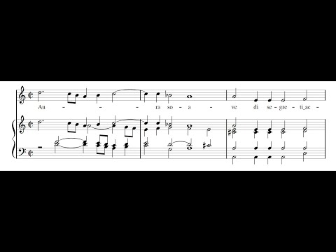 LUZZASCO LUZZASCHI: Aura soave di segreti accenti PDF SCORE