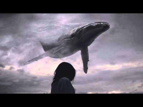 Mihai Zăvoian - For Her