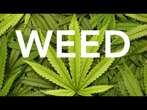 4i20 & 8THSIN - Weed (Original Mix)