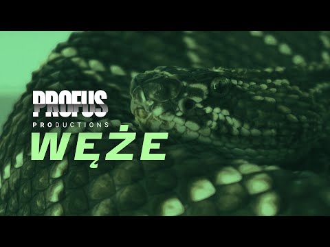 Profus  - Węże (prod. Profus)