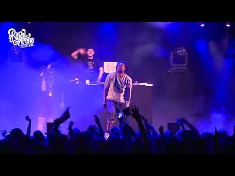 DANNY BROWN (USA) @ Royal Arena Festival 2013