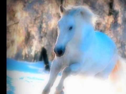 Joe Satriani - The Forgotten ( Part 1 & 2 )