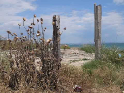 Zamunda Banana Bend - Losho Mi e