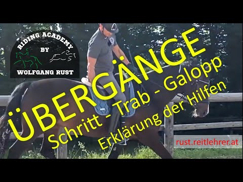 F37 Transitions: Riding explained in detail: Walk, trot, canter with correct aids. Rider errors