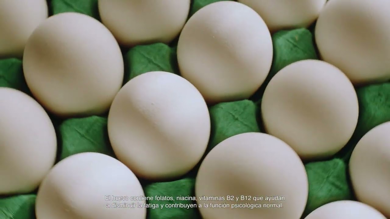 El huevo español alcanzó récord de facturación y consumo en 2023