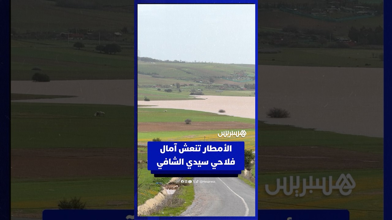 بعد سنوات من الجفاف.. أمطار الخير تعيد الحياة لسيدي الشافي والسهول وتنعش آمال الساكنة والفلاحين thumbnail