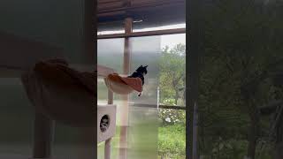 覗き見