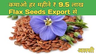 how to export flax seeds from india, earn money with flaxseeds export, flaxseed