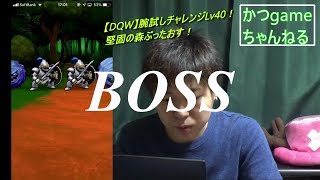 【DQW】腕試しクエスト推奨レベル４０！堅固の森攻略していく！