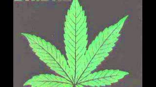 dr dre put it on me feat dj quik and mimi