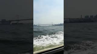 くだらない実写シリーズ タイトルが浮かばない(1)