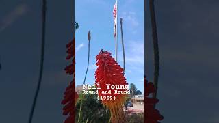 Neil Young: Round and Round (1969)