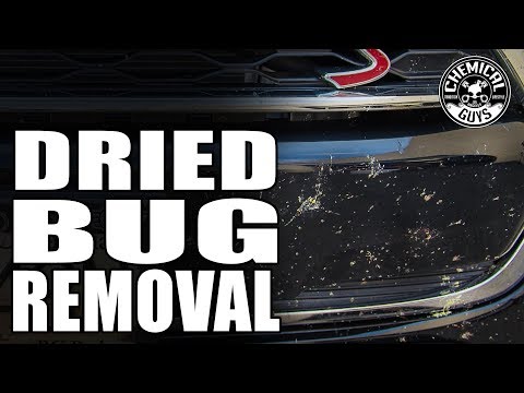 How To Remove Dried Bug Guts From Car - Mini Cooper S - Chemical Guys Car Care