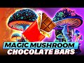 How to Make Mushroom Chocolate Bars