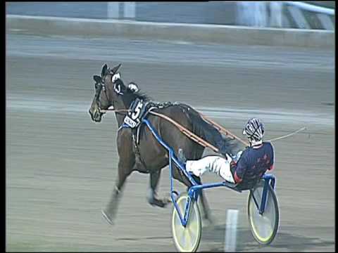 Trotto 12/03/2017 - 7ª corsa