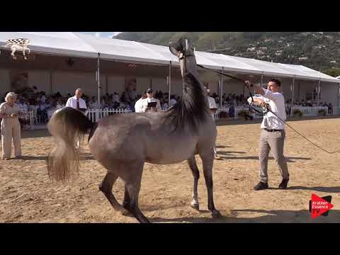 N.57 EXXALTRESS - Menton 2019