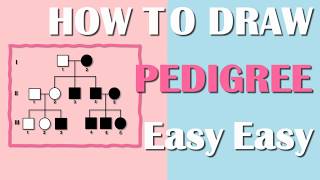 SCIENCE | EASY LEARNING Series | How to Draw a Pedigree | (English version) by Biology Man