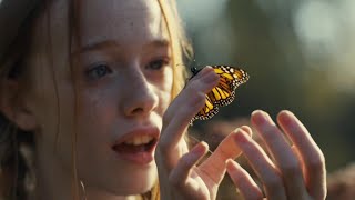 Don&#39;t Be Shy - Cat Stevens