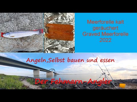 Meerforelle  kalt geräuchert Graved Meerforelle einfach und lecker  gefangen in der Ostsee