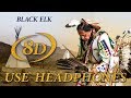 Black Elk (Patronage of Native Americans) by Mars Lasar. 8D cover version.