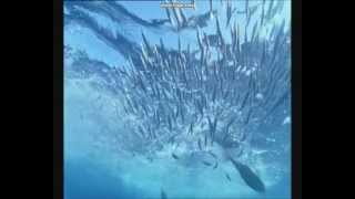 Deep Blue - Music Video - Sail on - Masterplan