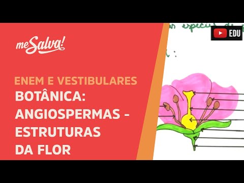 Me Salva! BOT09 - Botânica - Angiospermas: Estruturas da Flor