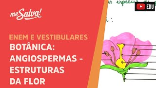 Me Salva! BOT09 - Botânica - Angiospermas: Estruturas da Flor