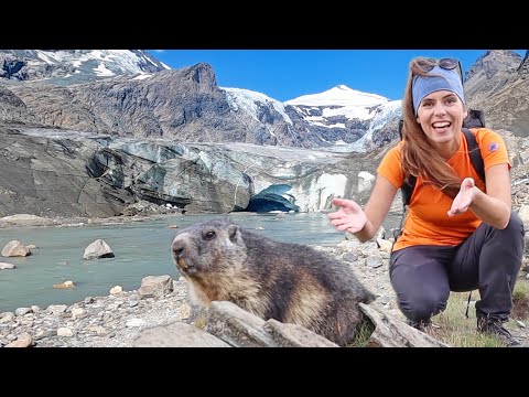 Gletschertrekking am Großglockner in Kärnten: Der größte Gletscher in Österreich