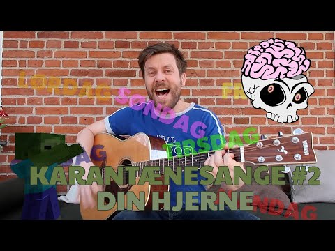 Karantænesange #2 - Din Hjerne (Million parodi)