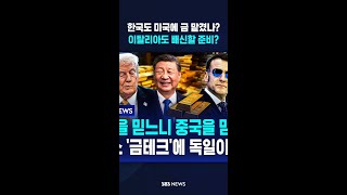한국도 미국에 금 맡겼나?..이탈리아도 배신할 준비? #shorts