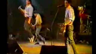 LOS NIKIS - Amante bandido