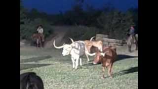 preview picture of video 'Fandangle in Albany, Tx 6-28-2012 044.AVI'