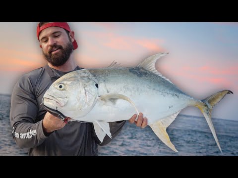 Lanseta Zenaq Fokeeto FC73-3 Twitch 2.22m 15-80g Fast