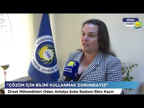 Tarımda iklim krizi alarmı: "Antalya'da en az 16 bin dönüm arazi zarar gördü"