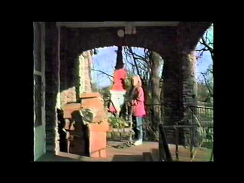 Mosquitohead - Dorothy Dobyns