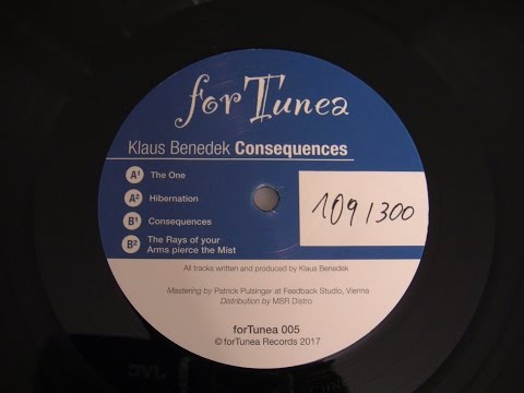 Klaus Benedek - Consequences // PREVIEW