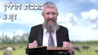 מסכת חולין דף ג - 8 דקות של לומדות ועמקות בדרך הלימוד הישיבתית [Hullin 3]