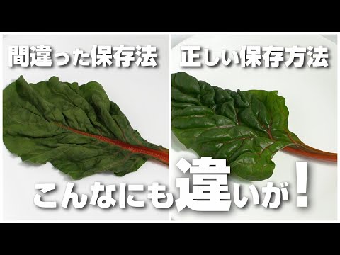 フダンソウを冷凍:こうすることでカリカリ感が保たれます ライフスタイル
