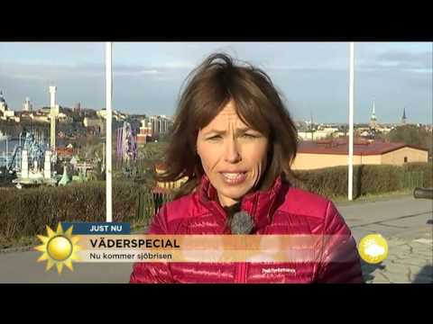 Väderspecial - nu kommer sjöbrisen - Nyhetsmorgon (TV4)